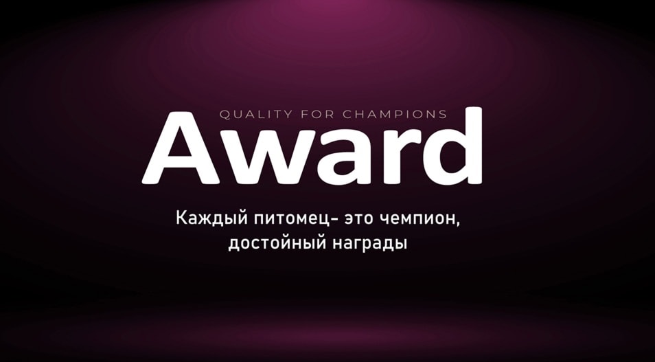 Презентация по бренду Award
